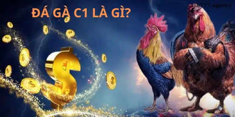 Đá gà C1 là gì ?