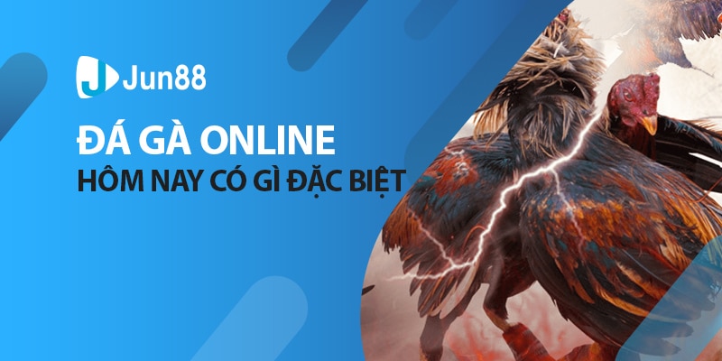 Đá gà online là gì?