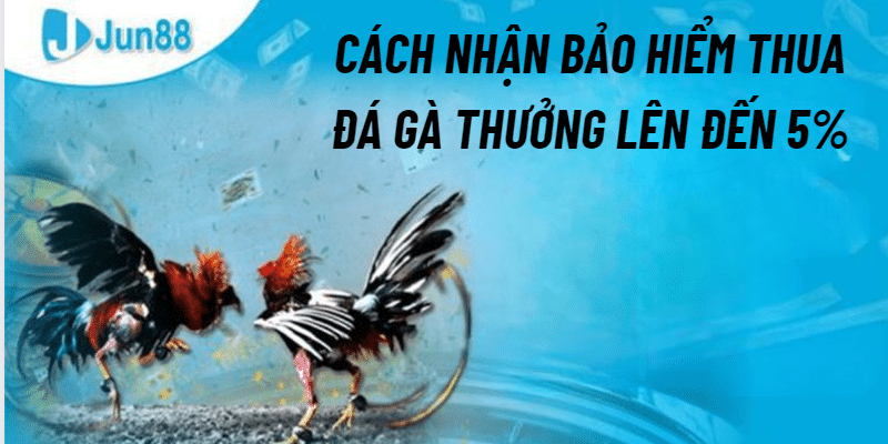 Hướng dẫn cách nhận bảo hiểm thua đá gà thưởng lên đến 5%