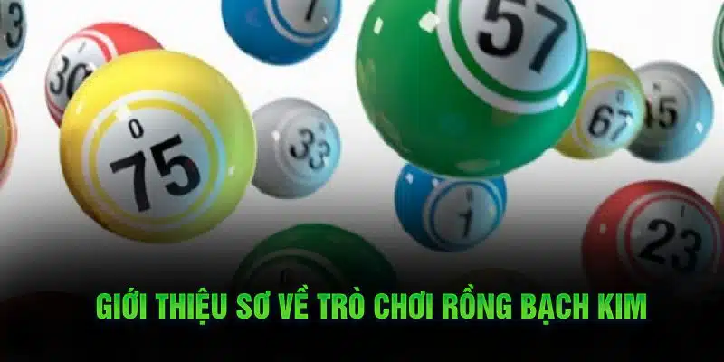 Rồng Bạch Kim Là Gì – Bí Quyết Chơi Thắng Chắc Tại Jun88