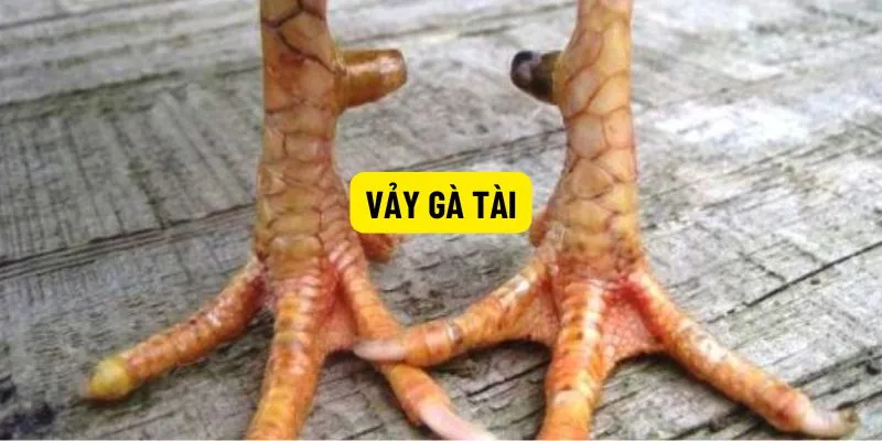 vay-ga-tai